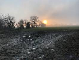 Coucher de soleil : Coucher de soleil, champ de vaches, boue, brouillard