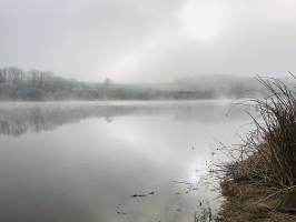 Lac de la Vouraie : Lac de la Vouraie, Saint-Hilaire-le-Vouhis, brouillard givrant