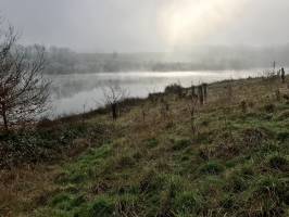 Lac de la Vouraie : Lac de la Vouraie, Saint-Hilaire-le-Vouhis, brouillard givrant