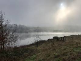 Lac de la Vouraie : Lac de la Vouraie, Saint-Hilaire-le-Vouhis, brouillard givrant