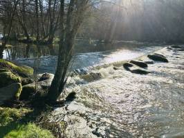 Le Parc de la Barbinière : Parc de la Barbinière, St-Laurent-sur-Sèvre