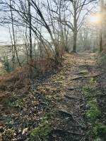 Le Parc de la Barbinière : Parc de la Barbinière, St-Laurent-sur-Sèvre, Viaduc