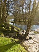 Le Parc de la Barbinière : Parc de la Barbinière, St-Laurent-sur-Sèvre