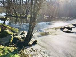 Le Parc de la Barbinière : Parc de la Barbinière, St-Laurent-sur-Sèvre