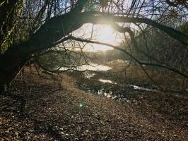 Lac de la Vouraie : Lac de la Vouraie, Saint-Hilaire-le-Vouhis