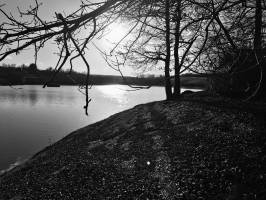 Lac de la Vouraie : Lac de la Vouraie, Saint-Hilaire-le-Vouhis, Vendée, Noir et Blanc