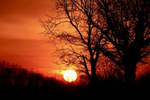 Coucher de soleil : Coucher de soleil, Campagne