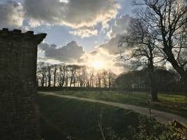 Le Château de Kerjean : Château de Kerjean, coucher de soleil, grands arbres