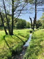 La Bretèche : La Bretèche, étang, ruisseau, arbres