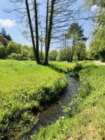 La Bretèche : La Bretèche, ruisseau, arbres