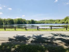 Etang de l'Aujardière : Etang de l'Aujardière, les Epesses, bois, la Bretèche