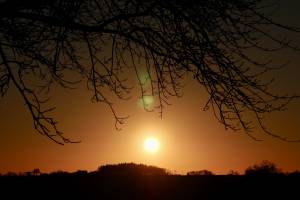 Coucher de soleil : Coucher de soleil, Campagne, branches