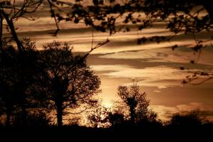 Ciel Lumineux : Campagne vendéenne, Lumière intense