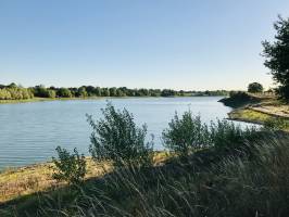 Lac du Verdon : Lac du Verdon, berge, buissons