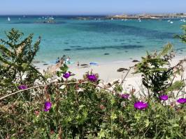 Trémazan : Plage du Château, Trémazan