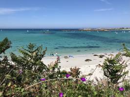 Trémazan : Plage du Château, Trémazan