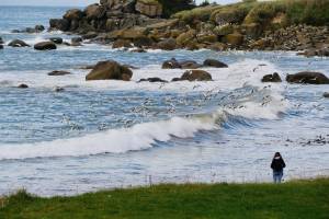 Plage de Kerfissien : Kerfissien, mer, rochers, mouettes