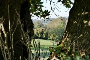 La Campagne Vendéenne : Campagne Vendéenne, le Boupère, prairie, arbres