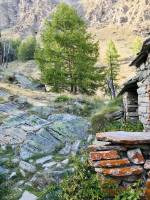 Grand Paradis : Vallée d’Aoste, Grand Paradis, Les Alpes italiennes