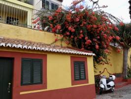 Le Vieux Funchal : Funchal, la vieille ville, maison colorée