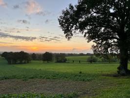 Coucher de Soleil : Coucher de Soleil, Campagne, le Boupère