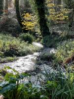 Le Bois de Keroual : Bois de Keroual, Guilers, Ruisseau