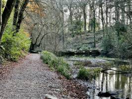 Le Bois de Keroual : Bois de Keroual, Guilers, rivière