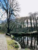 Le Bois de Keroual : Bois de Keroual, Guilers, retenue d’eau, arbres