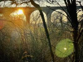 Le Viaduc de Barbin : le Parc de la Barbinière, le viaduc de Barbin