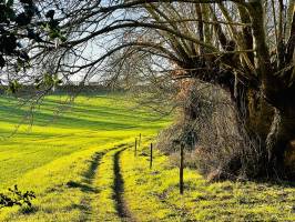 Campagne du Boupère : Campagne du Boupère, Chemin de randonnée