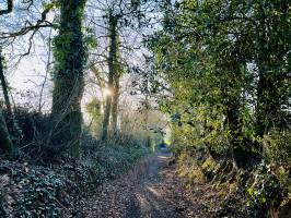 Campagne du Boupère : Campagne du Boupère, Chemin de randonnée