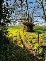 Campagne du Boupère : Campagne du Boupère, Chemin de randonnée