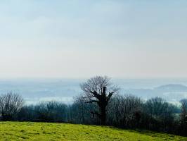 L’Epaud : L’Epaud, chemin de randonnée, campagne