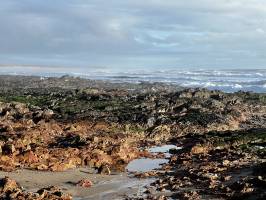 Plage de la Normandelière : Plage de la Normandelière, Bretignolles-sur-Mer