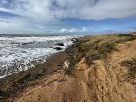 Plage de la Sauzaie : Plage de la Sauzaie, Bretignolles-sur-Mer