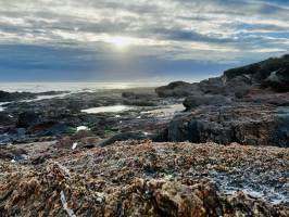 Bretignolles-sur-Mer : Bretignolles-sur-Mer, Rochers, Mer