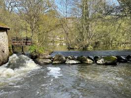Le Moulin d'Etourneau : Le Moulin d'Etourneau, Parc de la Barbinière, Saint-Laurent-sur-Sèvre