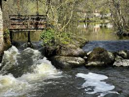 Le Moulin d'Etourneau : Le Moulin d'Etourneau, Parc de la Barbinière, Saint-Laurent-sur-Sèvre