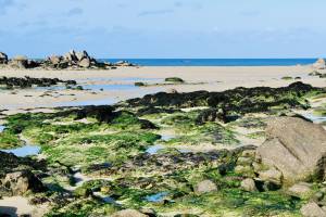 La Baie du Kernic : La Baie du Kernic, Porsguen, Plouescat