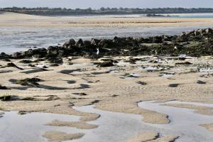 La Baie du Kernic : La Baie du Kernic, Porsguen, Plouescat