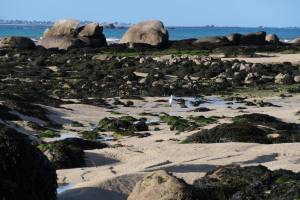 La Baie du Kernic : La Baie du Kernic, Porsguen, Plouescat