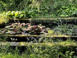 Lavoir : Lavoir, le Parc de la Barbinière, Saint-Laurent-sur-Sèvre