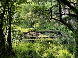 Lavoir : Lavoir, le Parc de la Barbinière, Saint-Laurent-sur-Sèvre