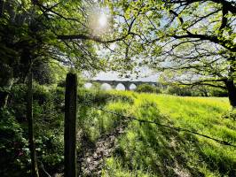 Le Viaduc de Barbin : Viaduc de Barbin, le Parc de la Barbinière, Saint-Laurent-sur-Sèvre