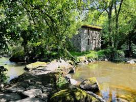 Le Moulin d'Etourneau : Le Moulin d'Etourneau, Le Parc de la Barbinière, Saint-Laurent-sur-Sèvre