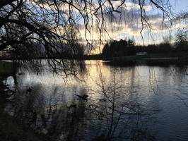 Lac de l’Espérance : Lac de l’Espérance, Pouzauges, Coucher de Soleil