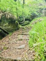 La Grotte d’Arthus : La Grotte d’Arthus, La Forêt d’Huelgoat