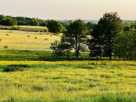 Campagne Vendéenne : Campagne Vendéenne, Champs, Prairie