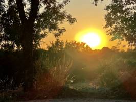 Coucher de Soleil : Coucher de Soleil, Campagne