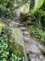 Parc de la Barbinière : Parc de la Barbinière, St-Laurent-sur-Sèvre